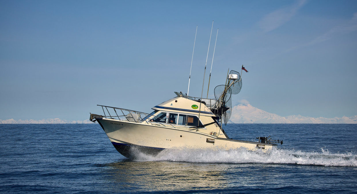 charter fishing trips in homer alaska